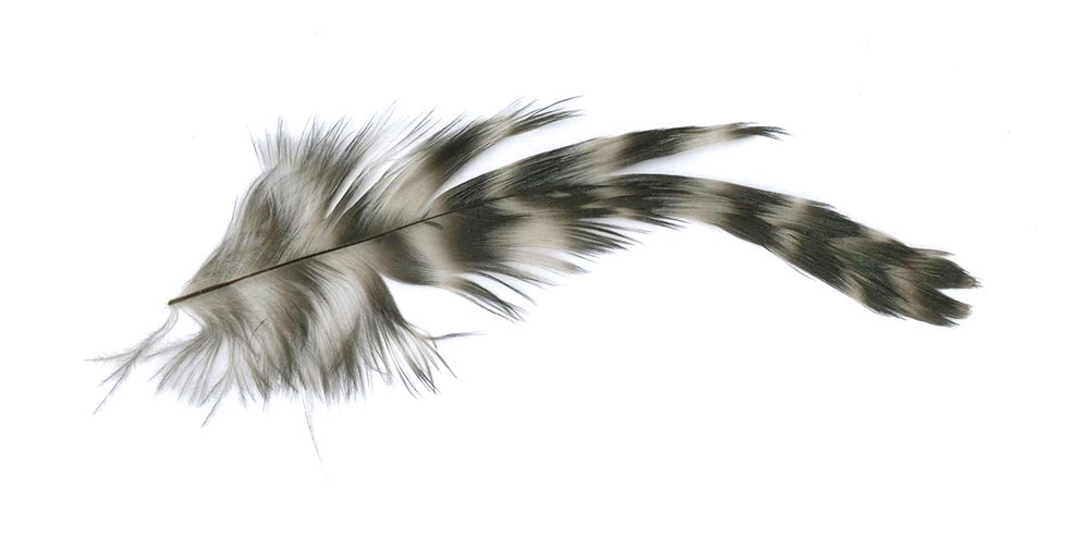 Kitty Molenaar  |  grafisch ontwerpen  |  ieuwjaarskaarten | verzamelingen en fotoseries